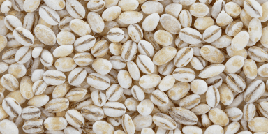 imagem do produto Cevada