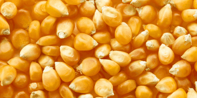 imagem do produto Milho