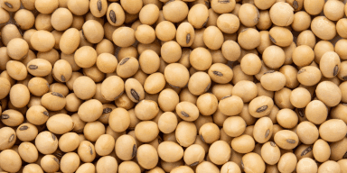 imagem do produto Soja